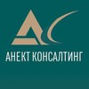 Логотип телеграм канала @anekt_mkg — Налоговый анализатор