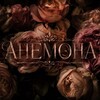 Логотип телеграм канала @anemone_19 — Ꭺнᴇʍᴏнᴀ
