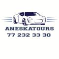 Logo de la chaîne télégraphique aneskatours - Achat et vente de voiture au Sénégal