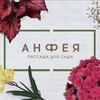 Логотип телеграм канала @anfea72 — Анфея - рассада для сада и дома