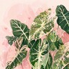 Логотип телеграм канала @ange_pattern_flora — Ange Pattern Flora