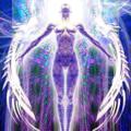Logo saluran telegram angelichumans — ANGELIC HUMANS INTEL