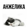 Логотип телеграм канала @angelikiahyenn — анжелика, тебе знак