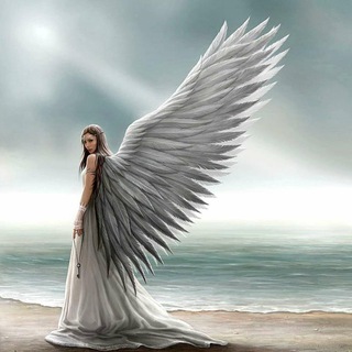 Логотип телеграм канала @angelsavee — Мой ангел-хранитель