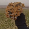 Логотип телеграм канала @angelvbelye_2 — ЖЕНСКОЕ