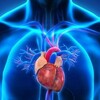 Telegram channel Сосудистая хирургия, флебология Одинцово. Angiosurgery logo