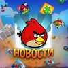 Логотип телеграм канала @angrybirdsnews2009 — 🐦НОВОСТИ ПО ANGRY BIRDS 🐦