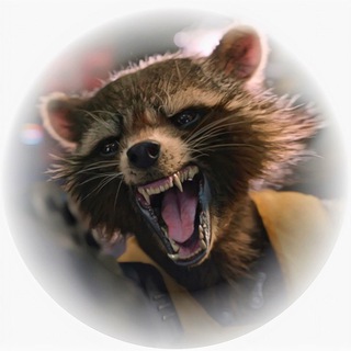 Логотип телеграм канала @angryrocket — Angry Rocket