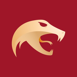 Логотип телеграм канала @angu1ssclub — angu1ss' Club