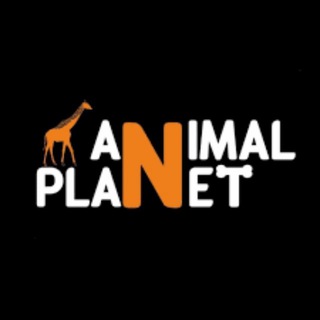 Логотип телеграм канала @animal_p1anet — Animal Planet