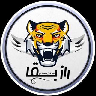 Logo saluran telegram animal_photo — راز بقا مستند حیات وحش