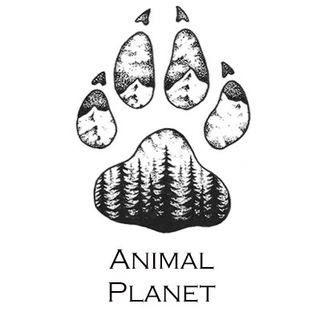 Логотип телеграм канала @animal_planeta — Animal Planet