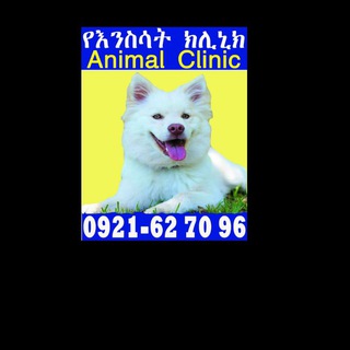 Logo saluran telegram animal_vetclinic — Animal clinic(Vet clinic)