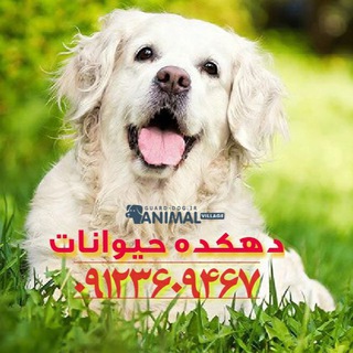 لوگوی کانال تلگرام animal_village2000 — دهكده حيوانات