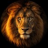 Логотип телеграм канала @animal_kingdome — Animal Kingdom 🦁