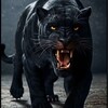 Telegram channel Мир животных | Animal planet logo