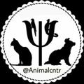 Logo saluran telegram animalcntr — فروشگاه حیوانات