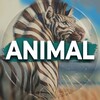 Логотип телеграм канала @animalfactsru — ANIMAL