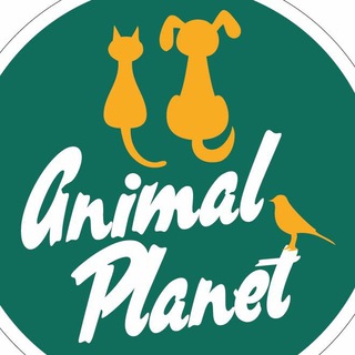 Logo del canale telegramma animalplanetagropoli - Animal Planet Agropoli