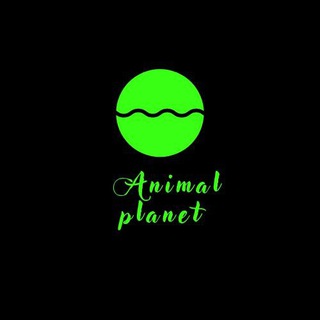 Логотип телеграм канала @animalplanete — ANIMAL PLANET