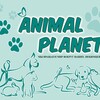 Логотип телеграм канала @animalplanetmlt — Animalplanet.mlt