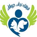 Logo saluran telegram animalrescueangel — 🐾فرشته نجات حیوانات🐾