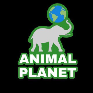 Logo of telegram channel animals_101 — Animal Planet