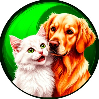 Логотип телеграм канала @animals_meme — Забавные животные