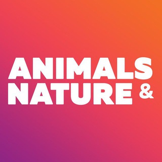 Logo of telegram channel animals_nature — Nature