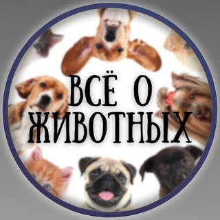 Логотип телеграм канала @animals_new — ВСЁ О ЖИВОТНЫХ