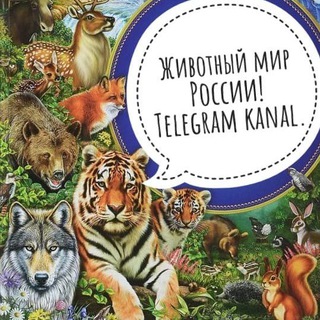 Логотип телеграм канала @animals_of_russia — Животный мир России