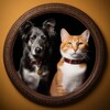 Логотип телеграм канала @animals_life_world — Animal World ✨