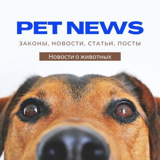 Логотип телеграм канала @animaltripsru — Pet News