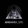 Логотип телеграм канала @animara_spb — ANIMARA_SPb - Школа ханга Анимара