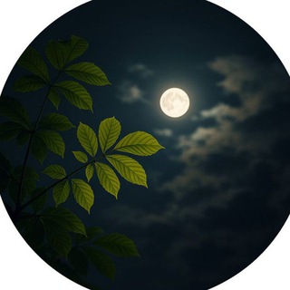 لوگوی کانال تلگرام anime_4ever1 — أثر