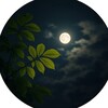 لوگوی کانال تلگرام anime_4ever1 — أثر