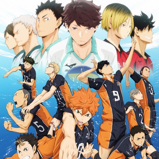 Логотип телеграм канала @animevail — Волейбол 1 2 3 4 сезон
