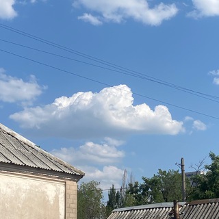 Логотип телеграм канала @animexqq — 𝚊𝚗𝚒𝚖𝚎𝚡𝚚𝚠