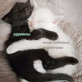 Логотип телеграм канала @anipinterest — aniPinterest