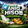 Telegram channel 💸ANIQ HISOB UZ💸 logo