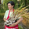 Логотип телеграм канала @anisovui_ogorod — Анисовый огород Аллы Анискиной