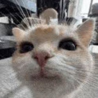 टेलीग्राम चैनल का लोगो anju_tonso — Anju tonso