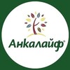 Telegram channel Ankalife EKU markazi logo