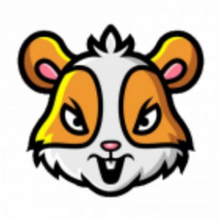 Logo saluran telegram ann_hamstercoin — HamsterCoin Announcement