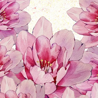 Логотип телеграм канала @annajournal — anna_bulletjournal