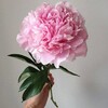 Логотип телеграм канала @annaruchkina — Anna Ruchkina Mindfulness Teacher