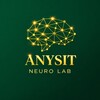 Логотип телеграм канала @annneurolab — NeuroLab ANYSIT