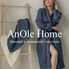 Логотип телеграм канала @anolehome — AnOle Home
