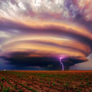 Логотип телеграм канала @anomli — Аномалии природы