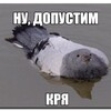 Логотип телеграм канала @anonhbcosplay — Подслушано косплей Набережные Челны и Нижнекамск